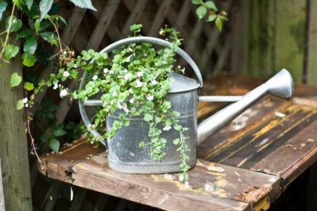15 πρωτότυπες γλάστρες για φυτά! Δώστε το προσωπικό σας ύφος στη διακόσμηση του χώρου σας