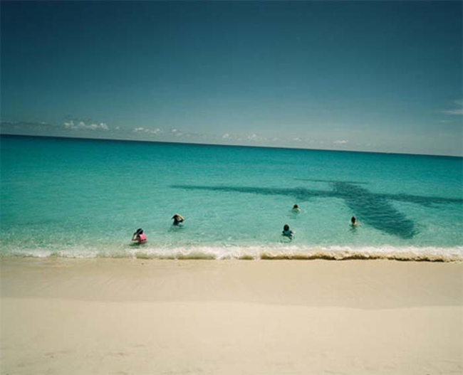 Η παραλία της Καραϊβικής που δεν θα θέλατε να επισκεφθείτε !!! Αν μάθετε τι συμβαίνει εκεί καθημερινά, θα καταλάβετε…