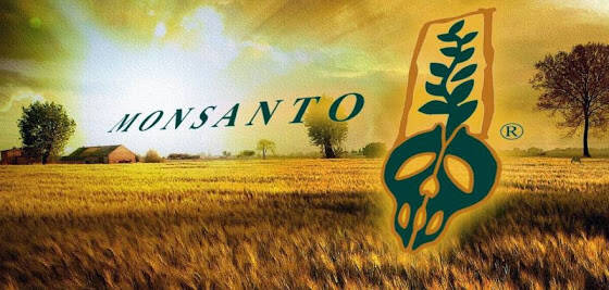 Τα δώδεκα χειρότερα προϊόντα που έχουν φτιαχτεί από την Monsanto