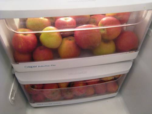 25ST fridge apples 25 τρόποι να αποθηκεύετε τα τρόφιμα σας για να μην χαλάνε γρήγορα!