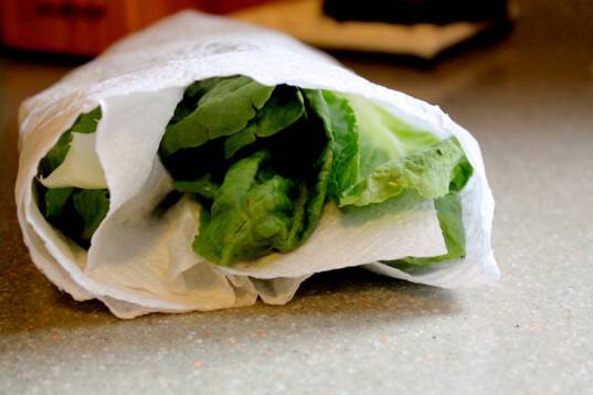 25ST lettuce papertowel 25 τρόποι να αποθηκεύετε τα τρόφιμα σας για να μην χαλάνε γρήγορα!