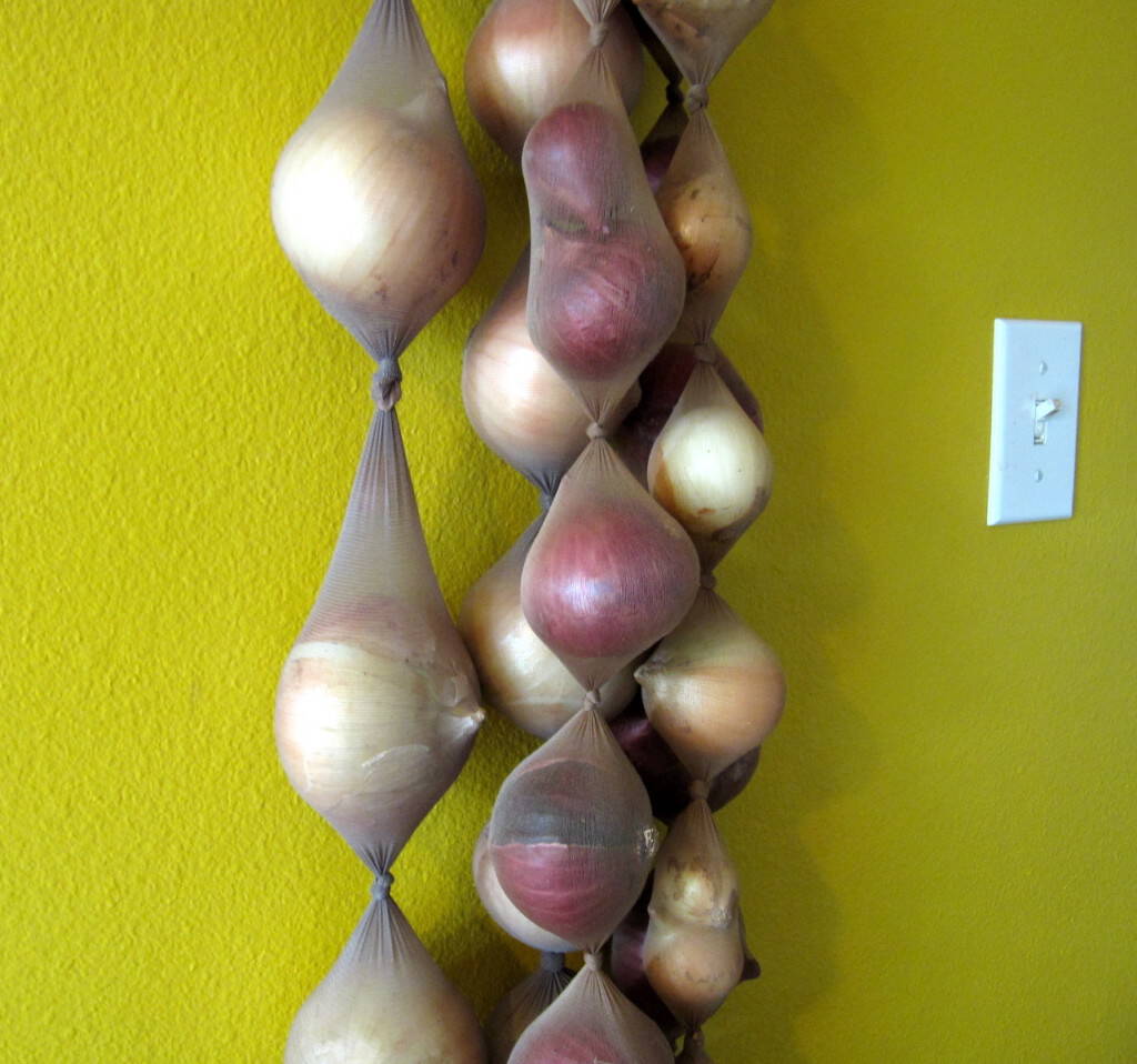 25ST onions pantyhose 1024x9581 25 τρόποι να αποθηκεύετε τα τρόφιμα σας για να μην χαλάνε γρήγορα!