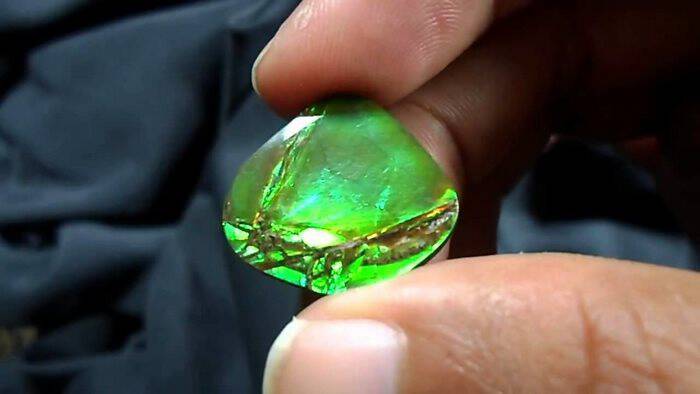 Το Ammolite, έναν σπάνιο οργανικό πολύτιμο λίθο που βρέθηκε στα Βραχώδη Όρη. Μερικοί λένε ότι είναι ο σπανιότερος πολύτιμος λίθος στον κόσμο.